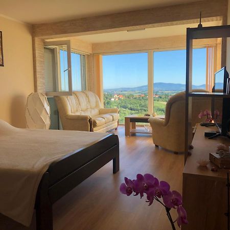 Vila Pogled アランジェロヴァツ エクステリア 写真