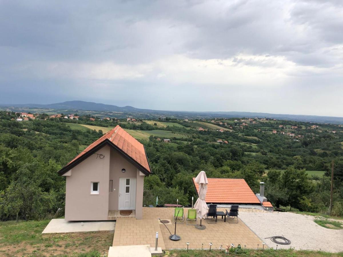 Vila Pogled アランジェロヴァツ エクステリア 写真
