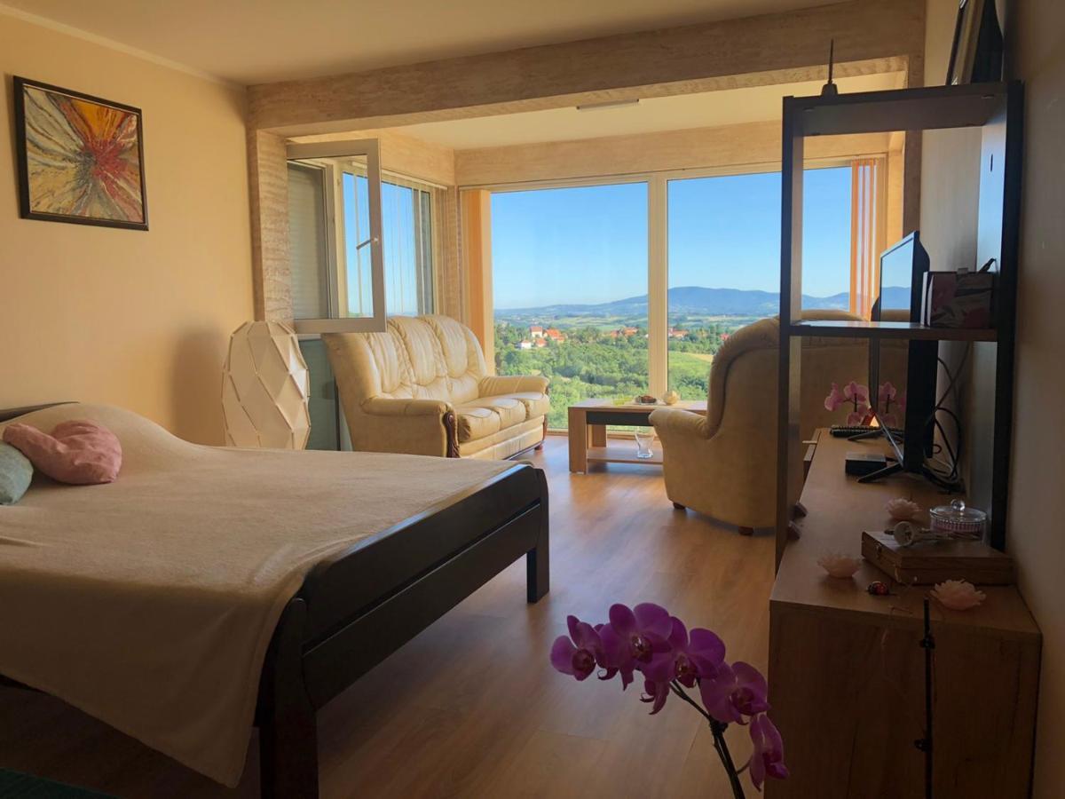 Vila Pogled アランジェロヴァツ エクステリア 写真