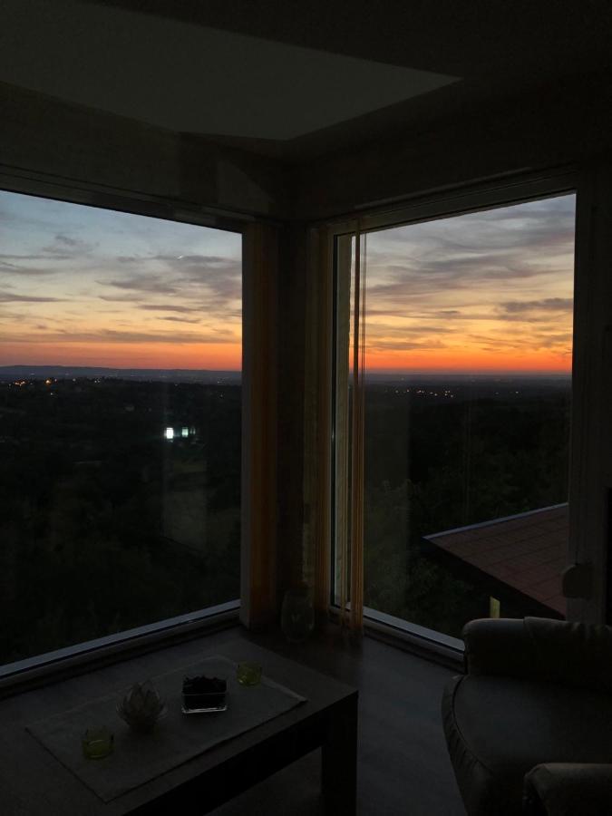 Vila Pogled アランジェロヴァツ エクステリア 写真