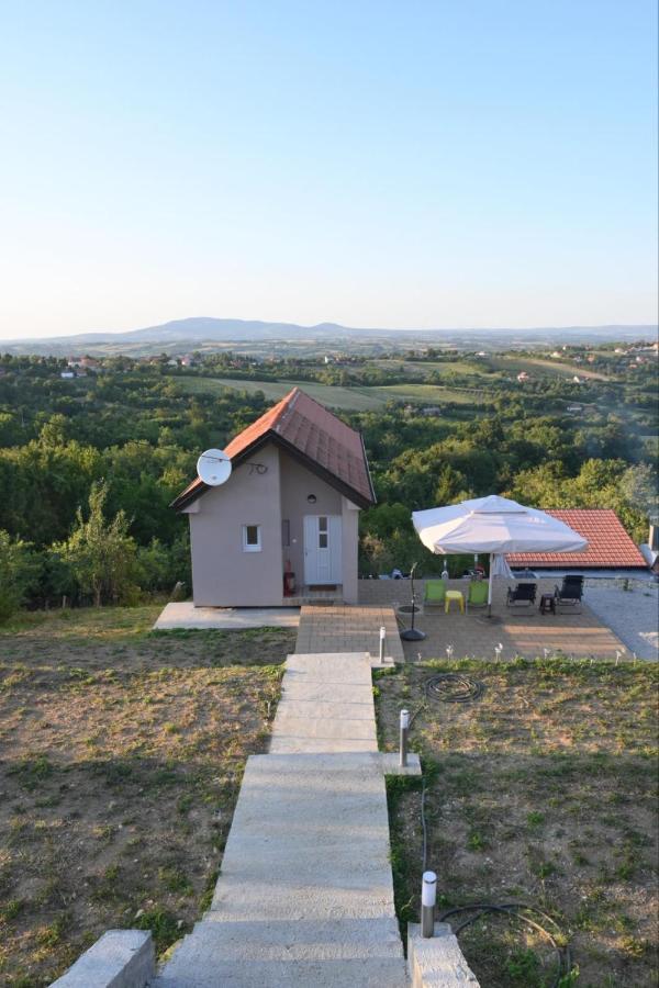 Vila Pogled アランジェロヴァツ エクステリア 写真
