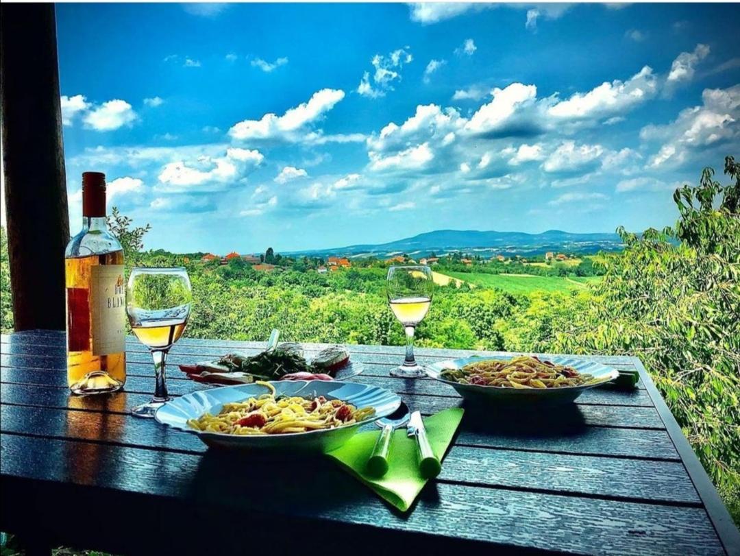 Vila Pogled アランジェロヴァツ エクステリア 写真